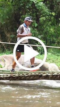 BIB:  <button type="button" onclick="openModal(26800518)" class="btn btn-primary btn-sm float-right" data-toggle="modal" data-target=".modal-high-quality">
                <i class="fa fa-download"></i> Download
                </button>